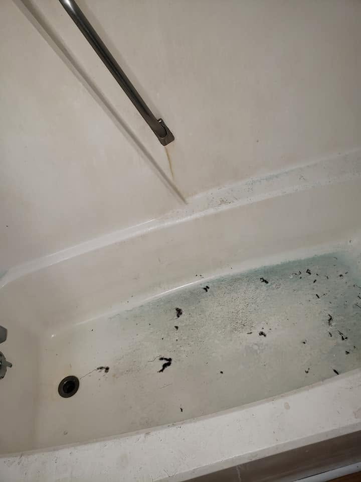 Before — Bathroom Refresh by McClain's Cleaning Hands of Love