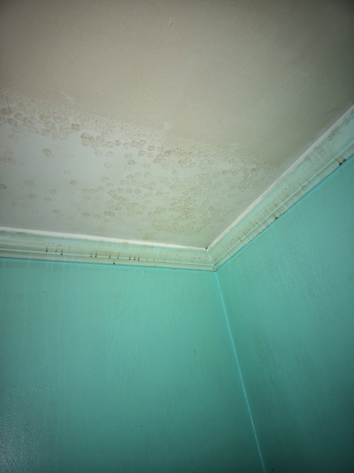 Before — Move-Out Clean by McClain's Cleaning Hands of Love